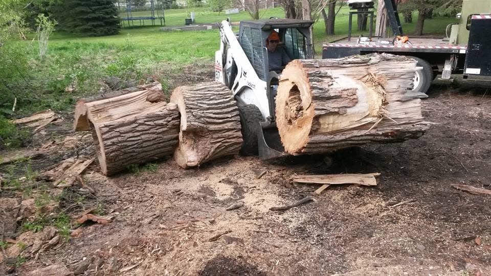 A Bobcat skid-steer moves a large hollow log section across a cleared, wooded property