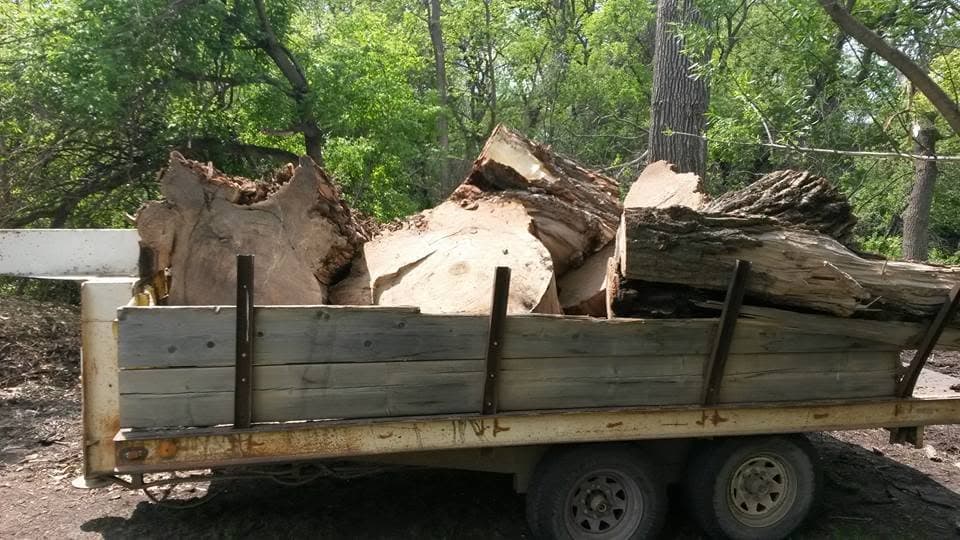 A flatbed trailer loaded with heavy log rounds and sections, ready to haul out
