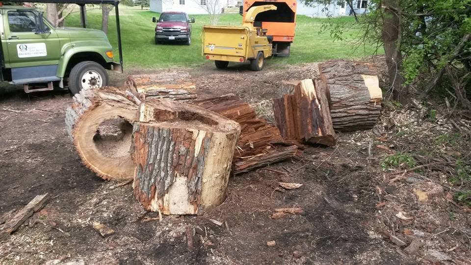 Freshly cut log rounds on the ground beside an orange wood chipper and trucks in a Brookings yard