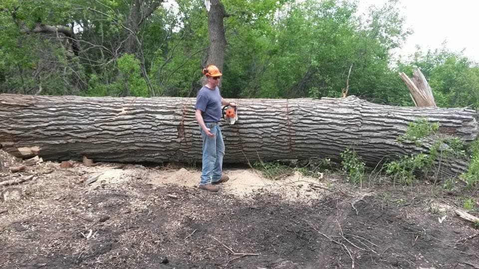 A Quality Tree Service crew member in a hard hat stands with a chainsaw in front of a very large felled log