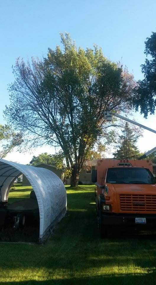 An orange bucket truck parked beside a large yard tree being taken down in autumn