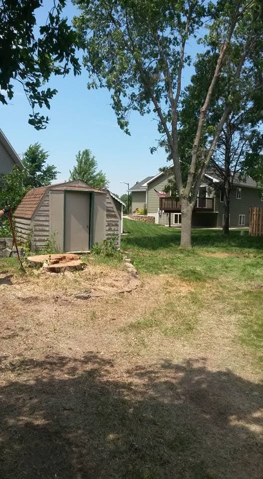 A freshly cut stump left low in a Brookings backyard beside a garden shed