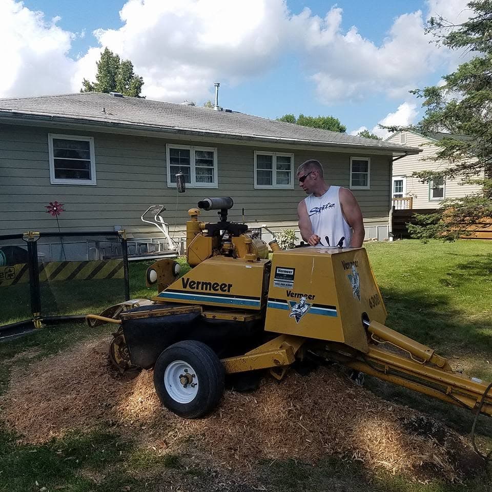 A Quality Tree Service operator runs a yellow Vermeer stump grinder over a ground-out stump in a Brookings backyard